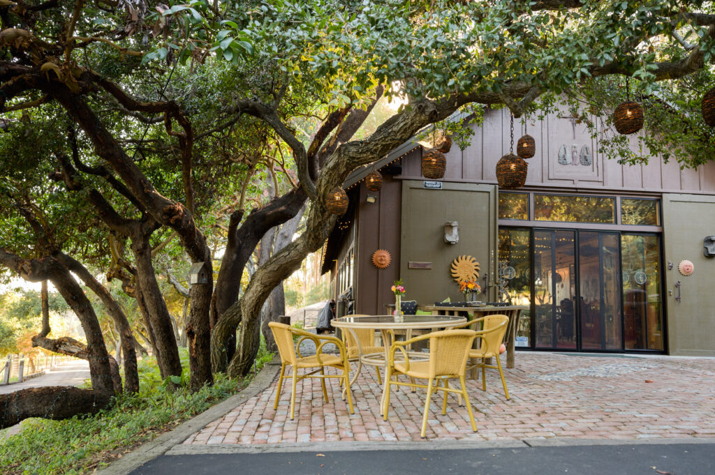 The shaded patio at Lester Estate Wines
